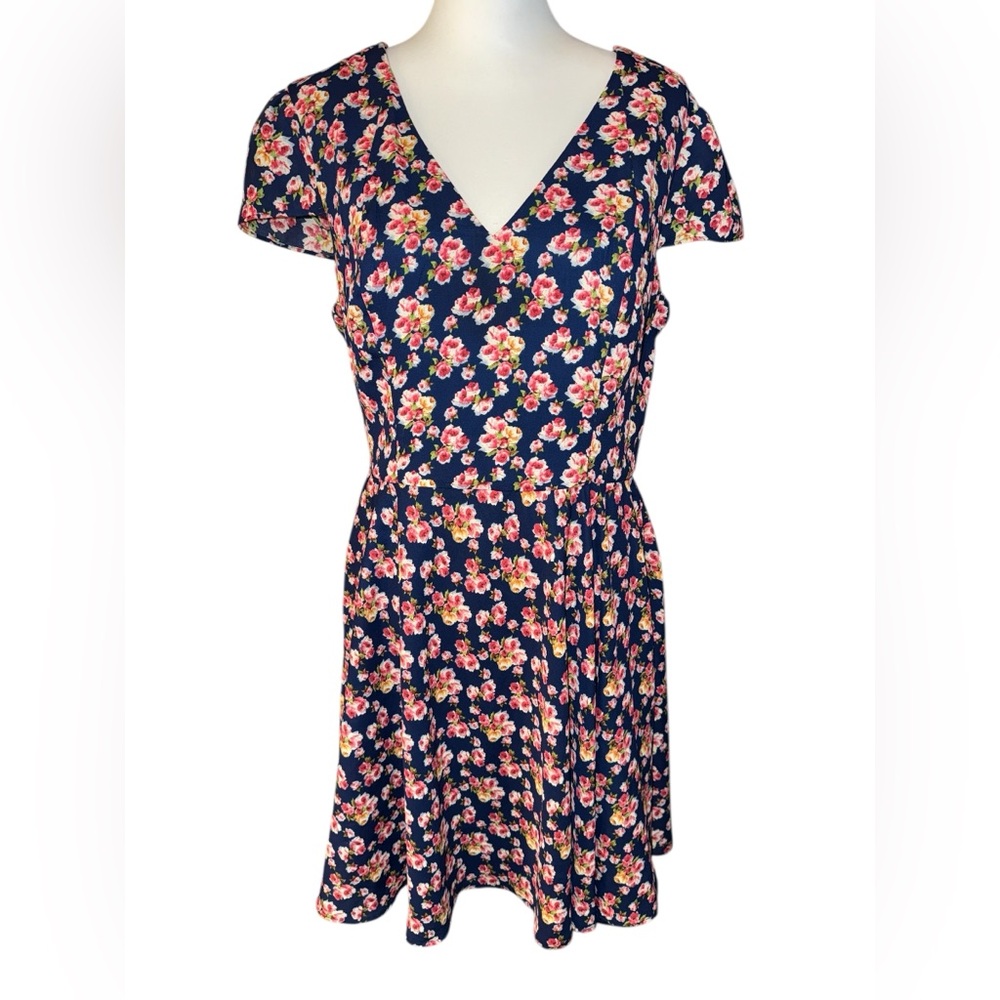 Floral Print Chiffon Fit & Flare Dress by Betsey Johnson women’s Sz 14